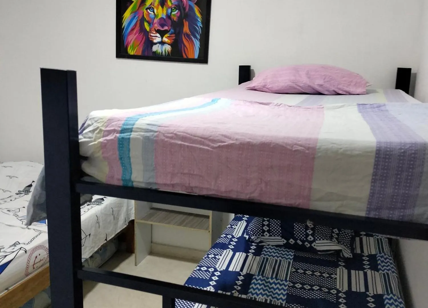 Habitaciones Y Apartamento Fania Gaira